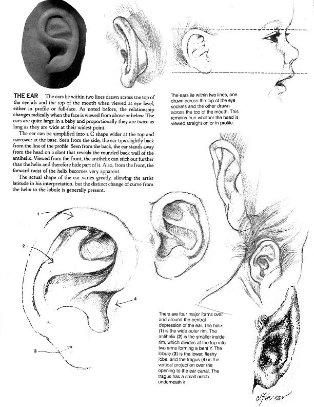 Ear Draw